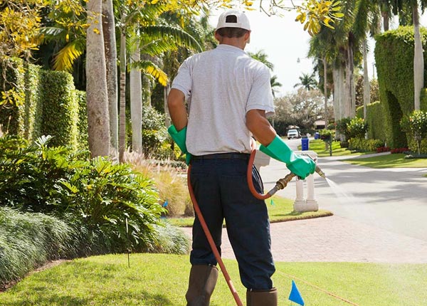 About Manassas GA Pest Control Pros
